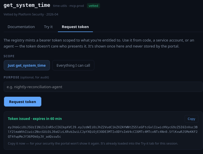 Developer Portal Request-token tab showing a scoped bearer token issued by the registry